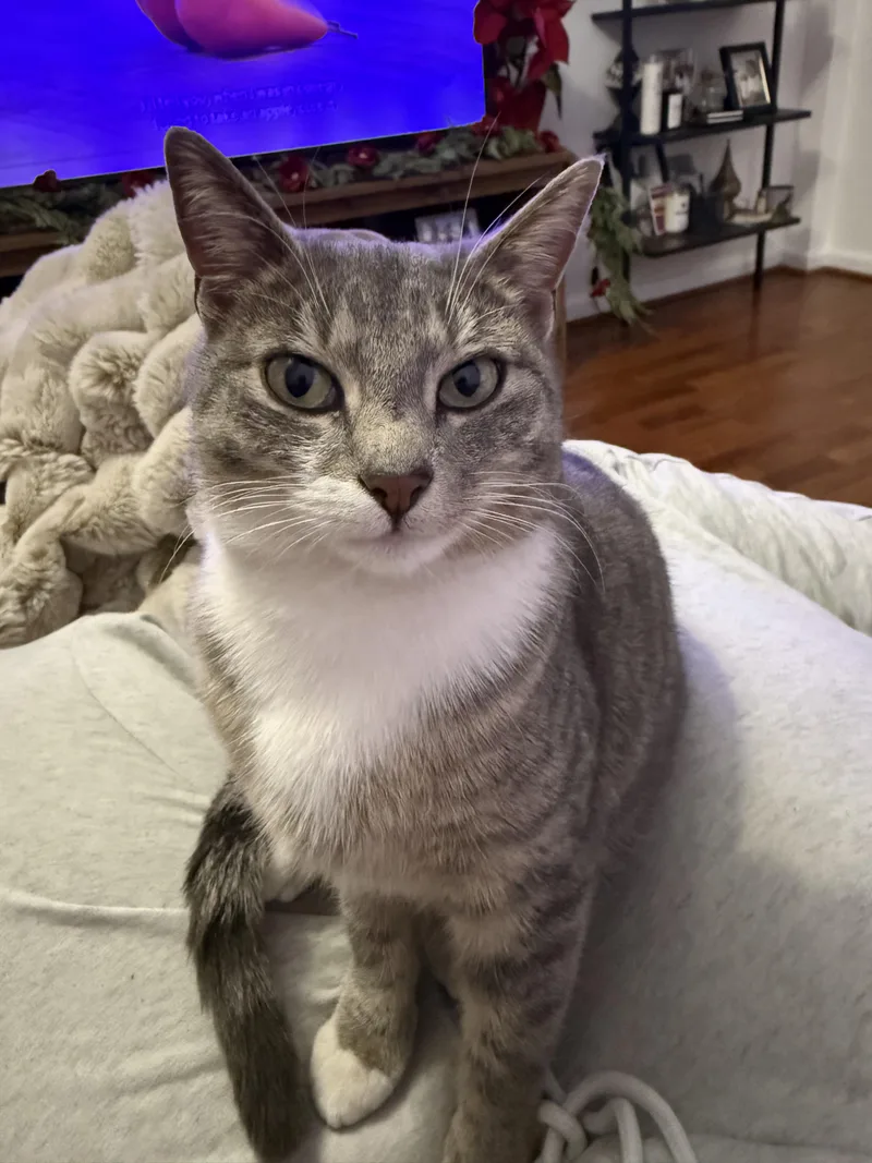 Vivienne thumbnail 2