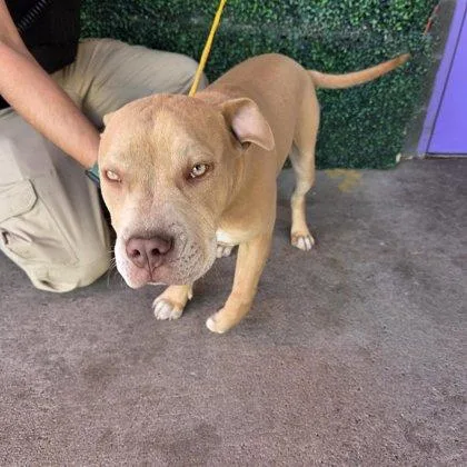 60747427 thumbnail 2