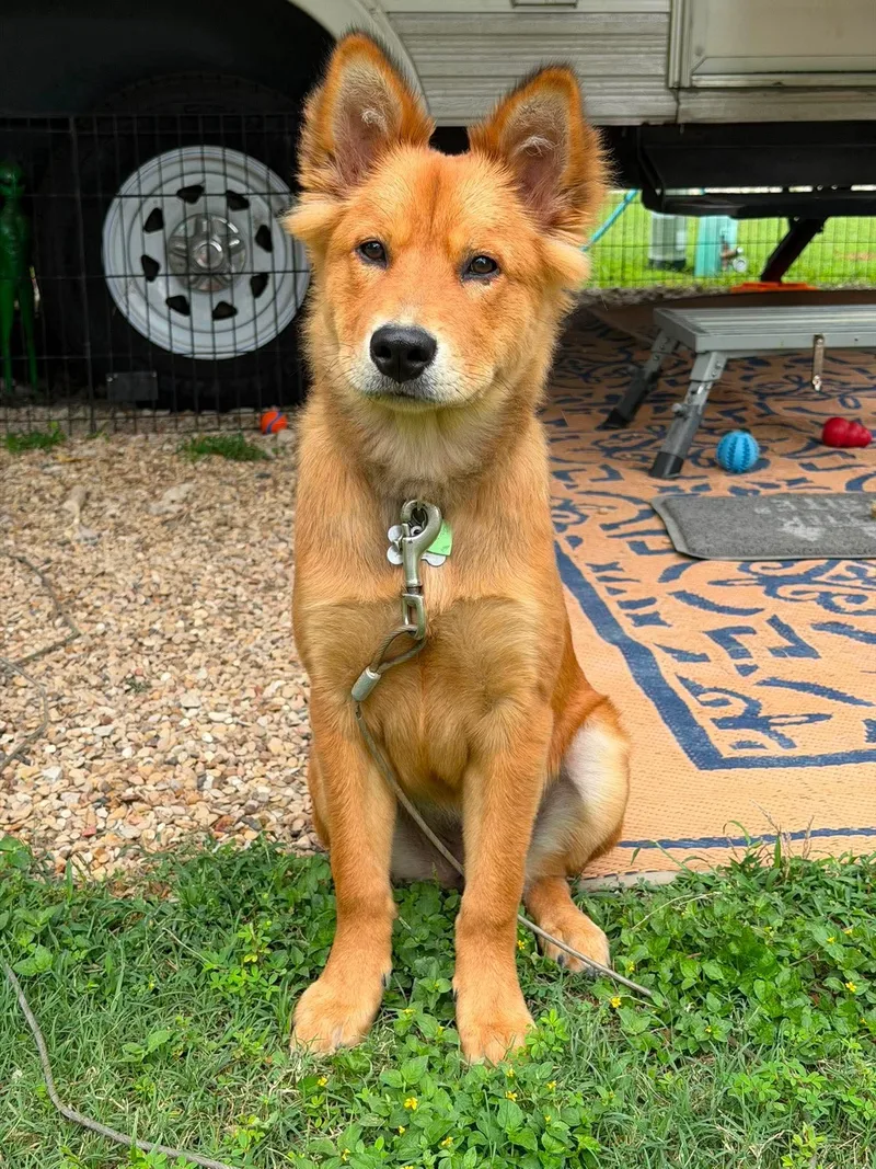 Lily Belle