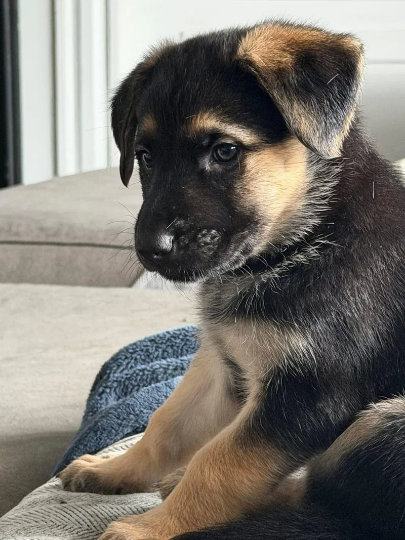 Dorothy Lane Market thumbnail 2