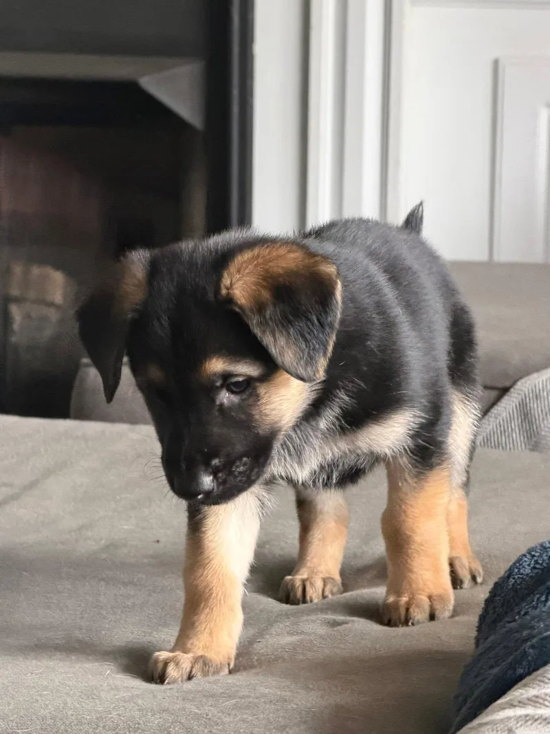 Dorothy Lane Market thumbnail 3