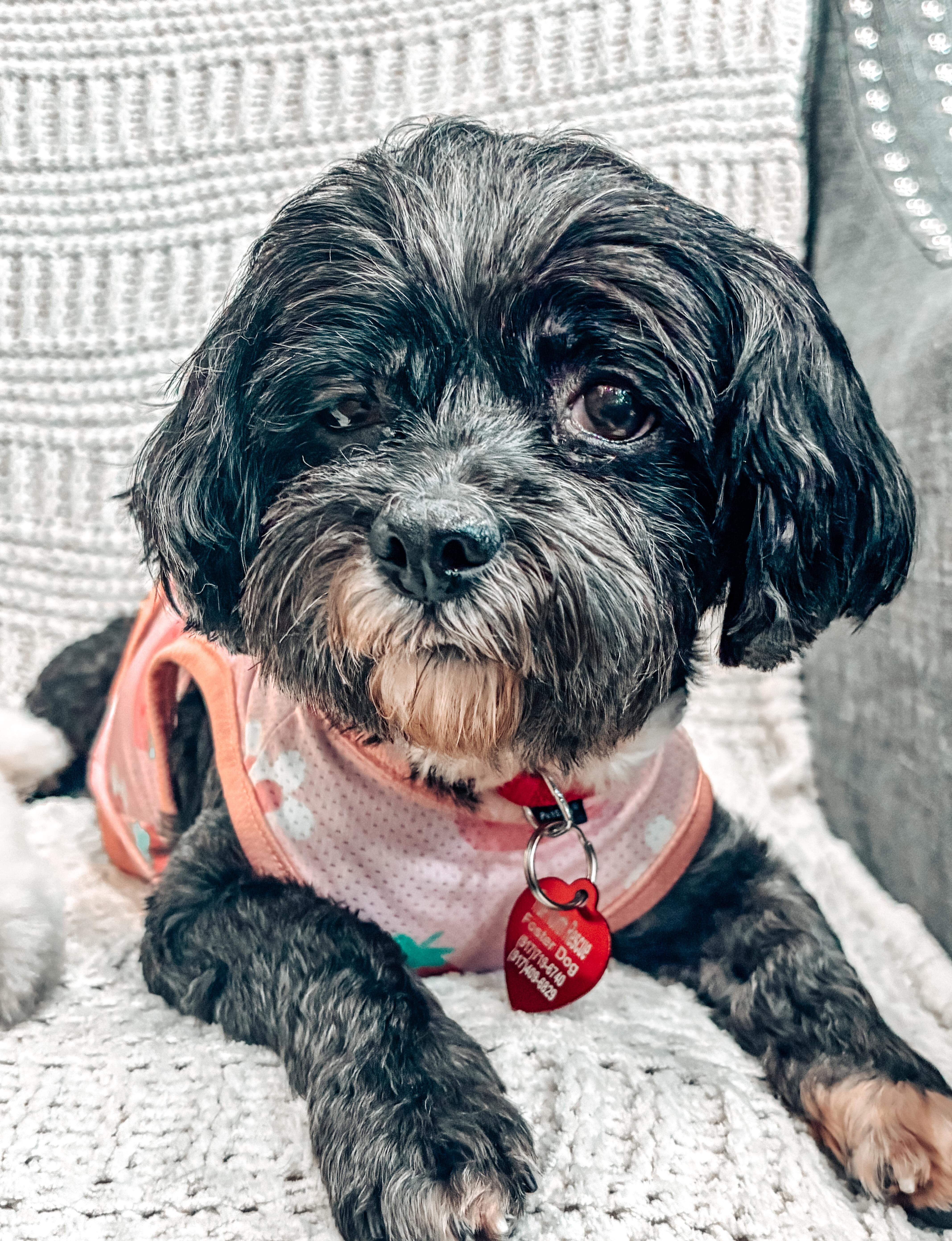 Minnie
