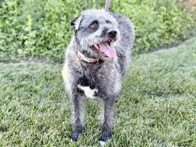 Winnie