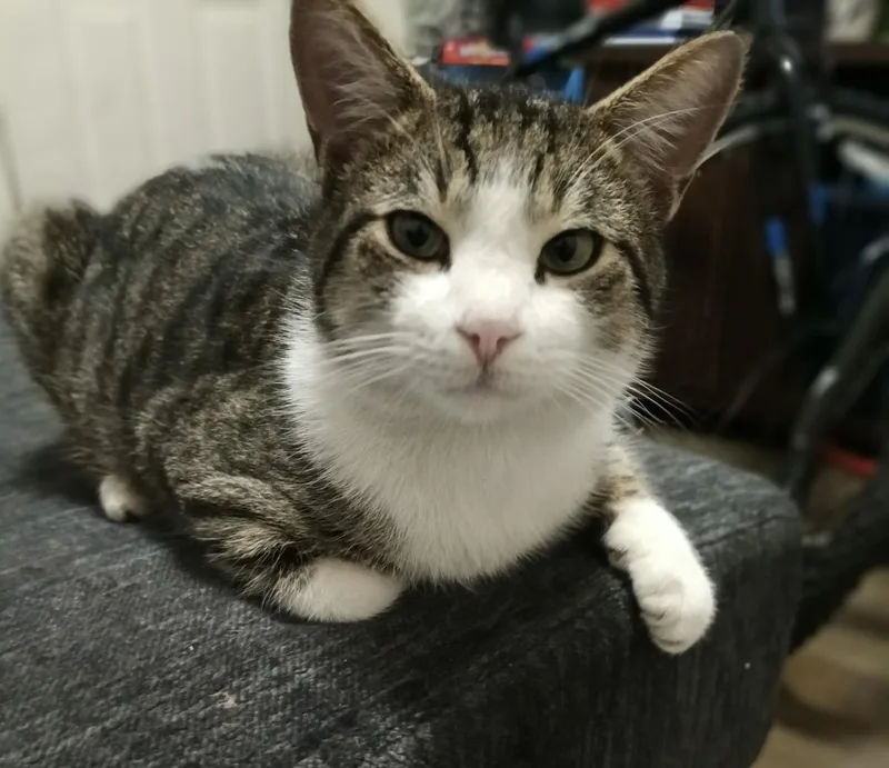 Binx