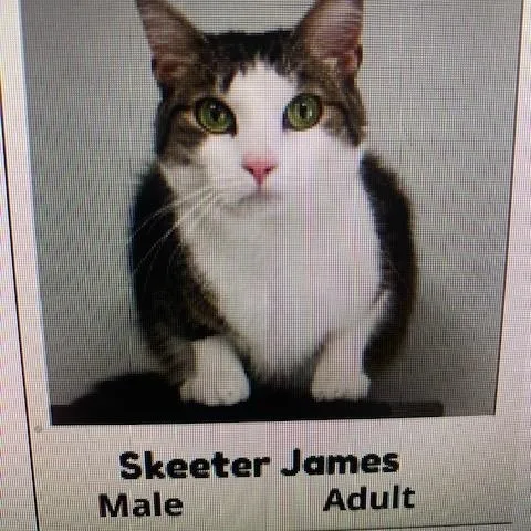 Jolene And Skeeter thumbnail 2