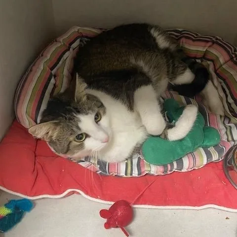 Jolene And Skeeter thumbnail 4