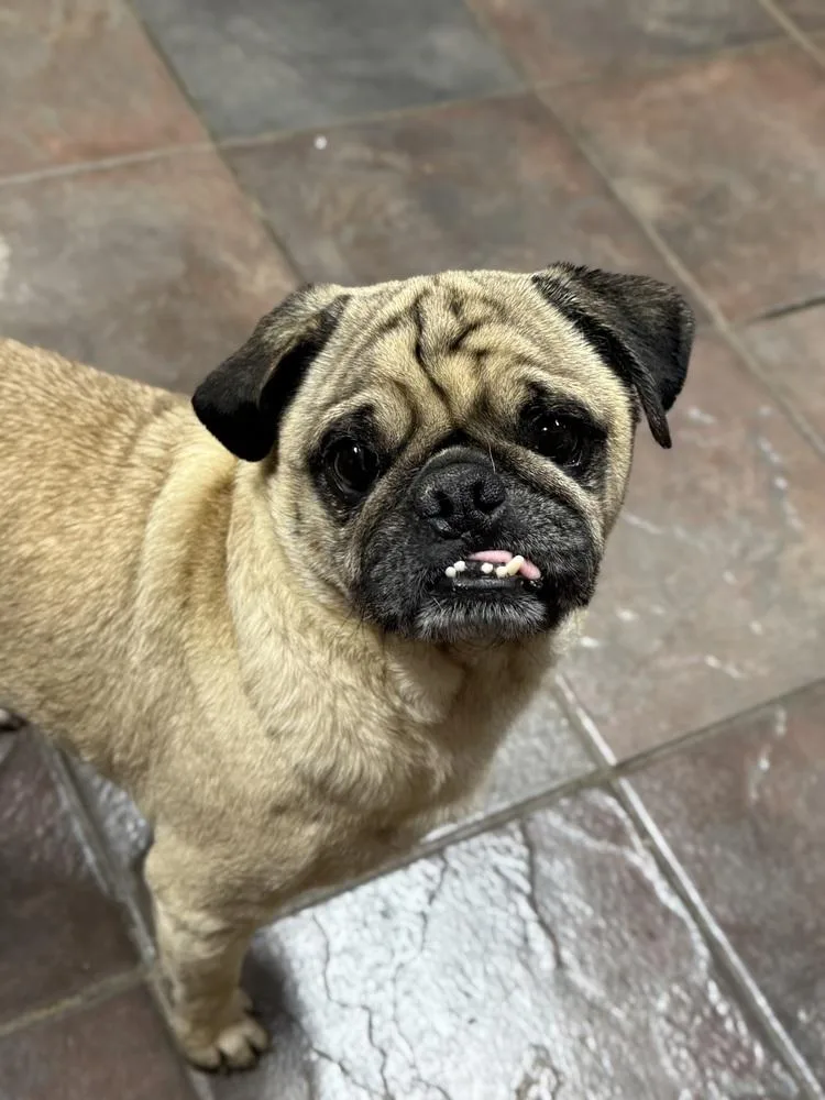 Tungsten thumbnail 3