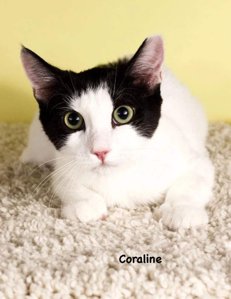 Coraline
