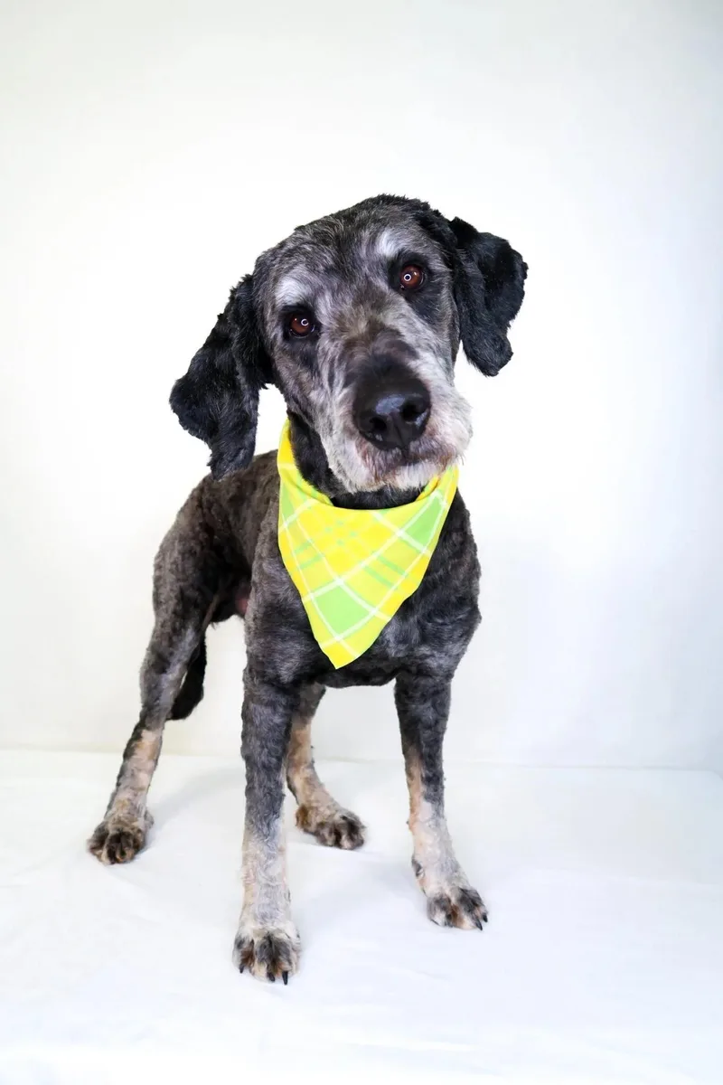 Ginuwine thumbnail 2