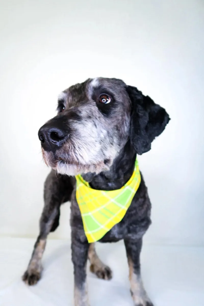 Ginuwine thumbnail 3