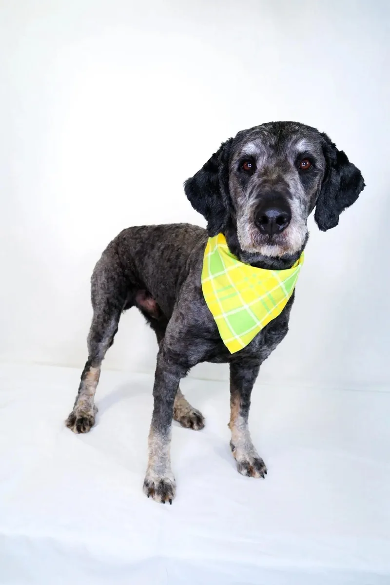 Ginuwine thumbnail 4