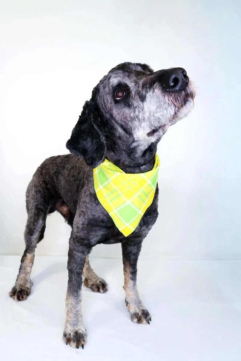 Ginuwine thumbnail 5