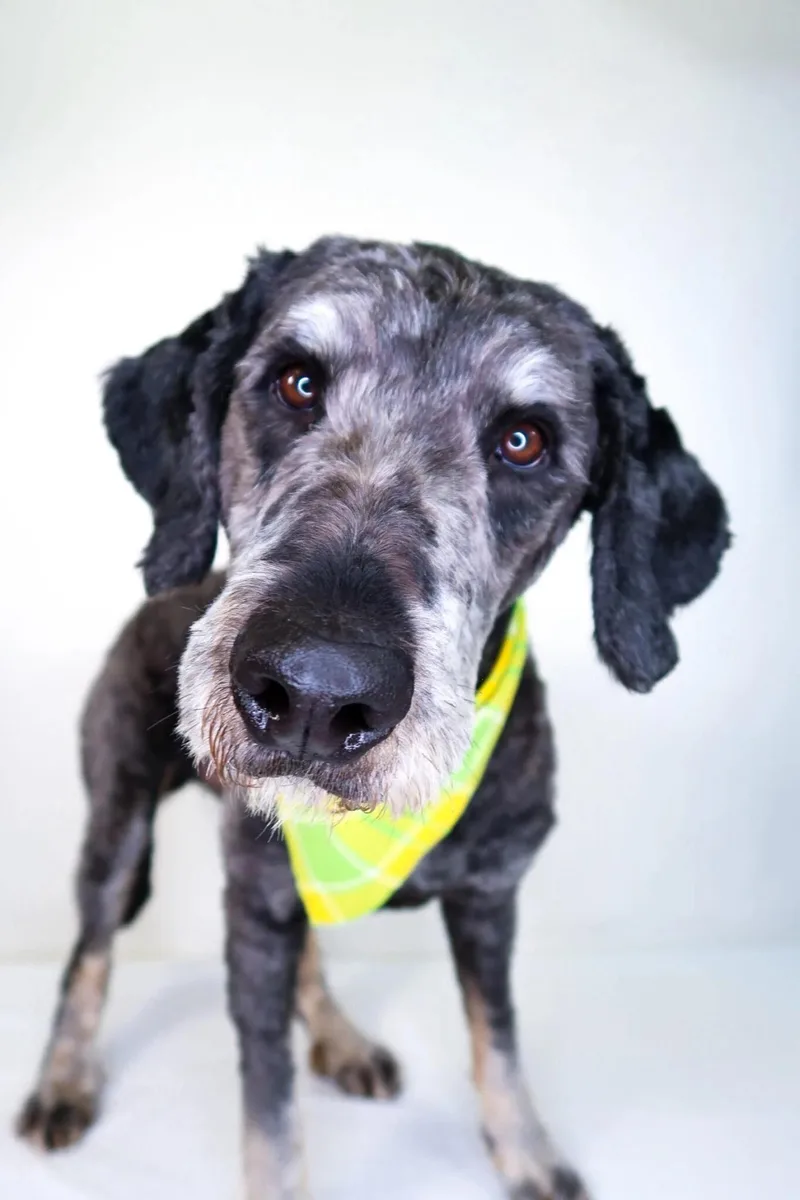 Ginuwine thumbnail 6