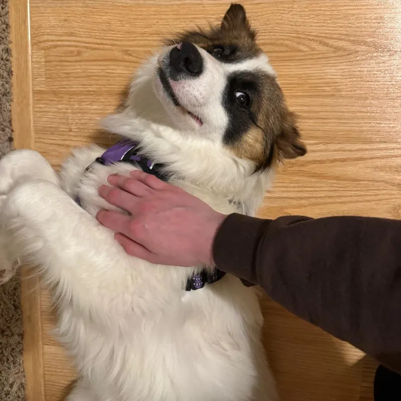 Lightning thumbnail 2