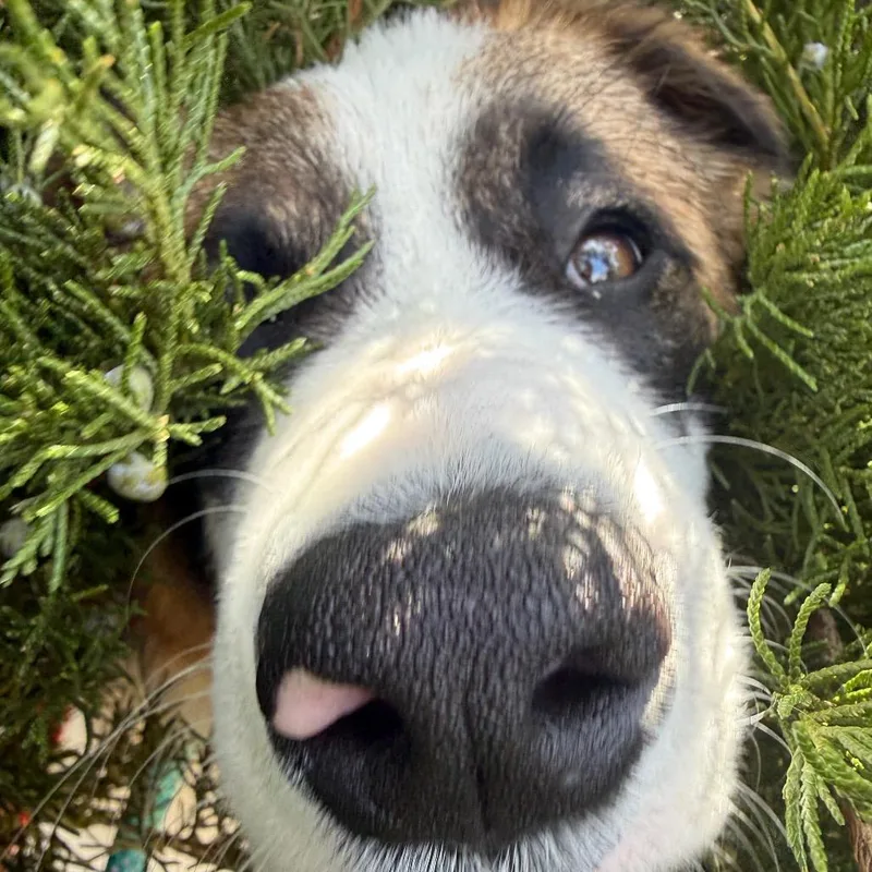 Lightning thumbnail 4