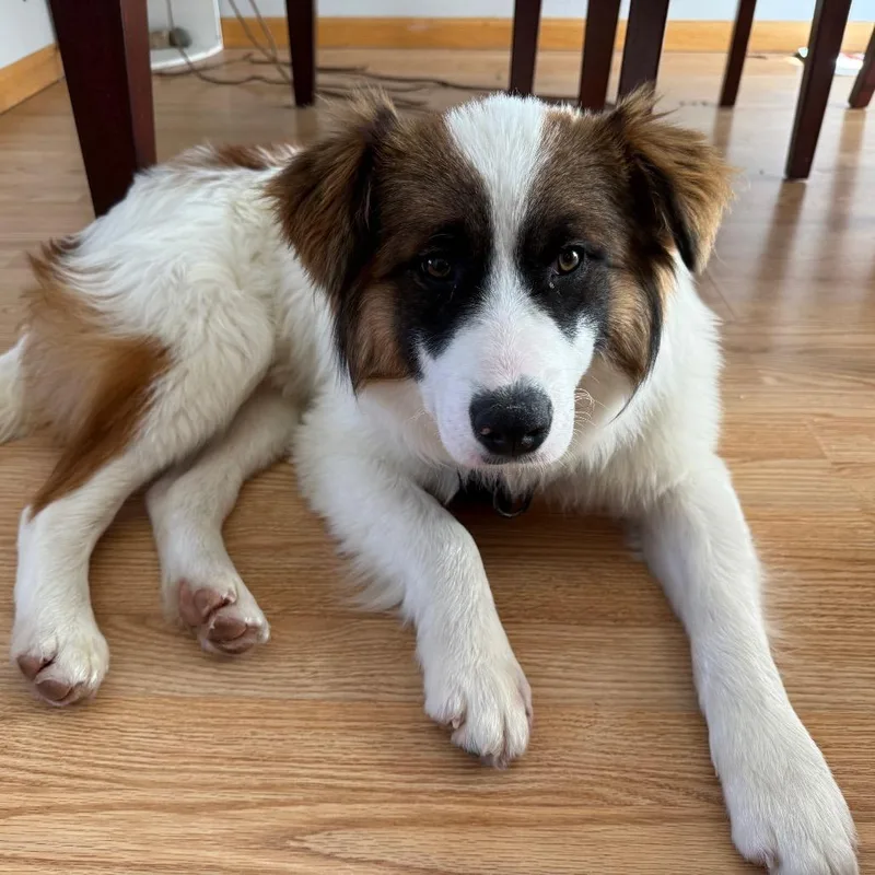 Lightning thumbnail 5