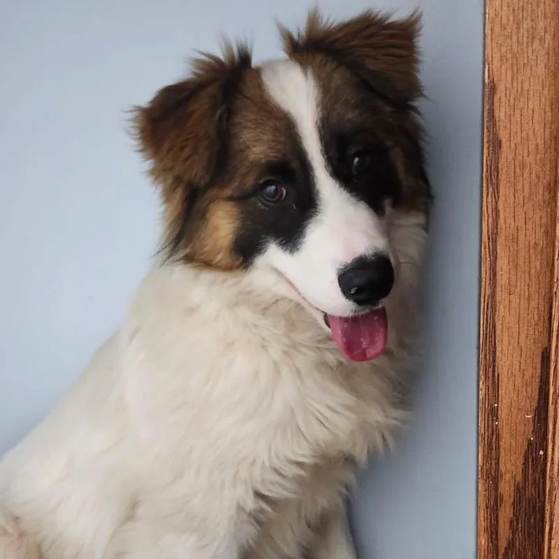 Lightning thumbnail 6