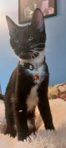 Saige [and Spice] thumbnail 2