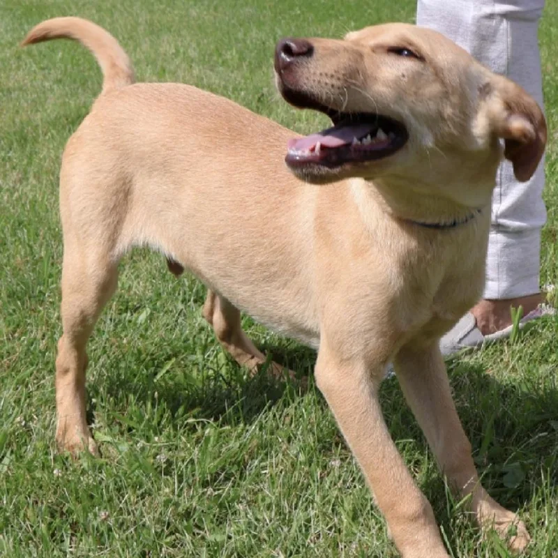 Sprite In Ny To thumbnail 2