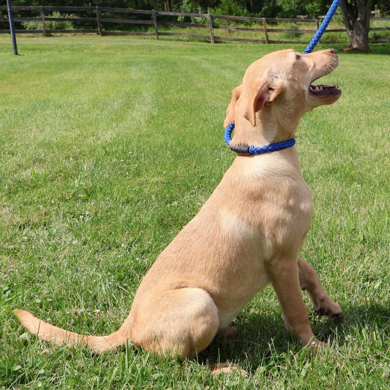 Sprite In Ny To thumbnail 4