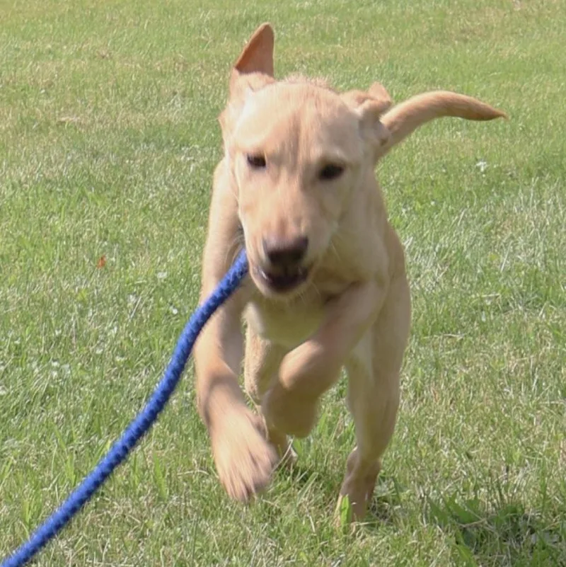 Sprite In Ny To thumbnail 5