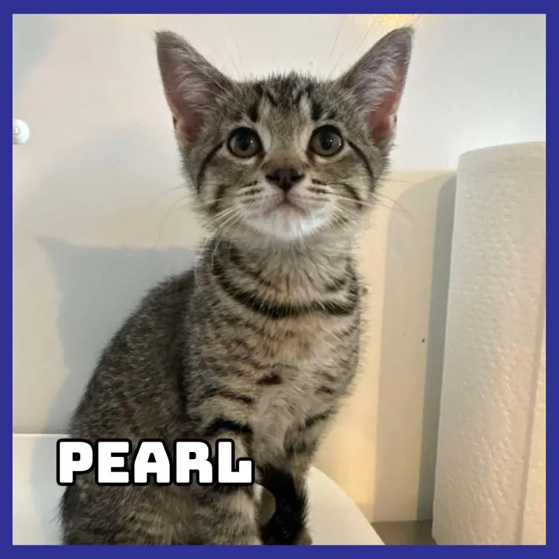 Pearl