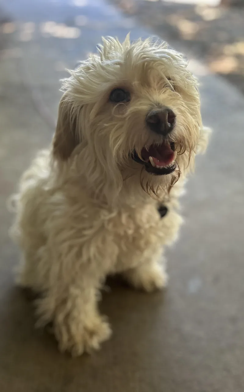 Spunky
