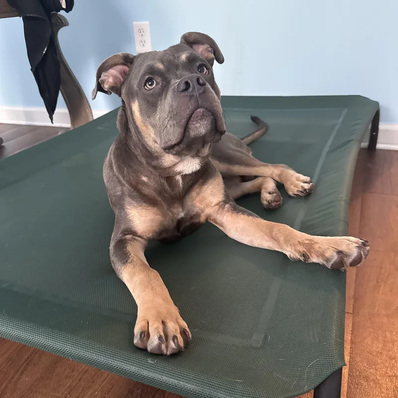 Pete