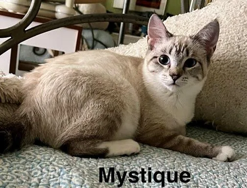 Mystique thumbnail 5