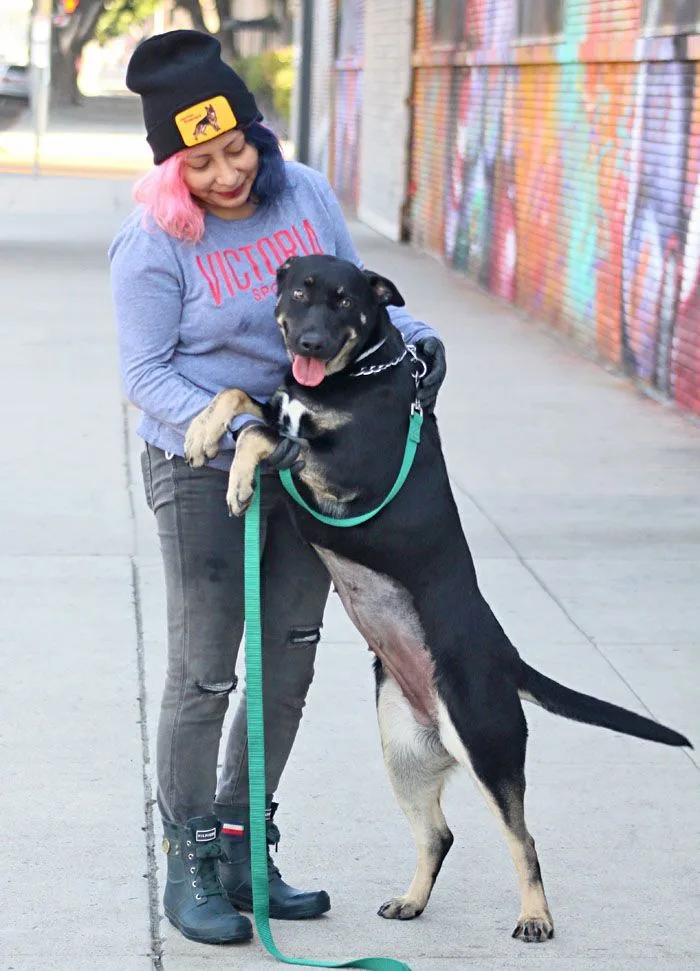 Skylar Von Roxy" thumbnail 4