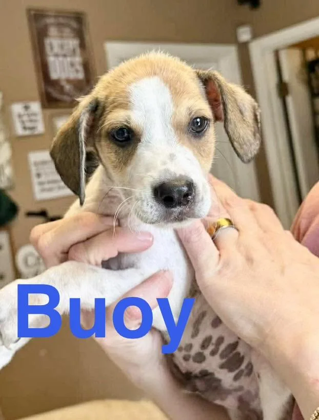 Buoy thumbnail 3