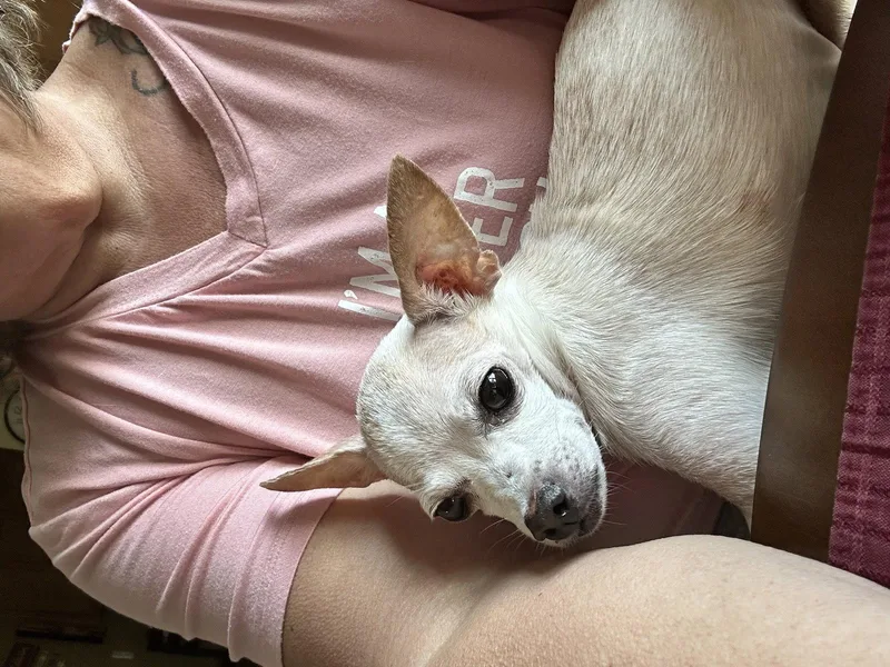 Marshall thumbnail 2