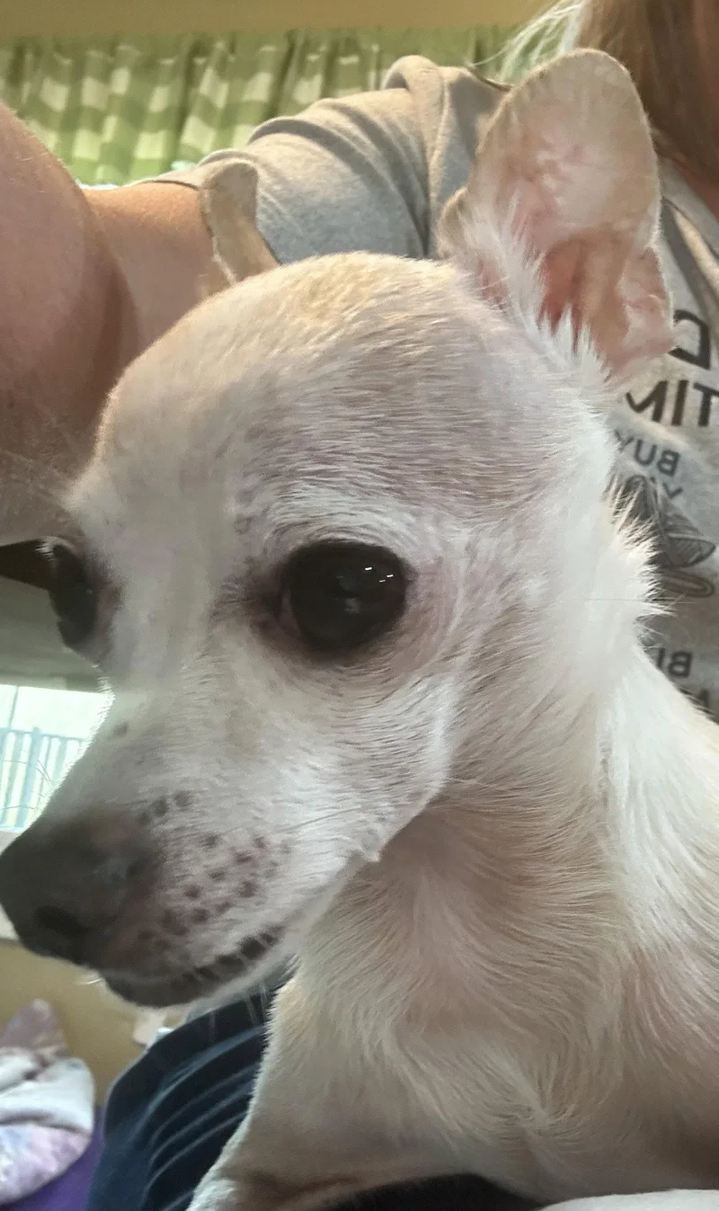 Marshall thumbnail 3