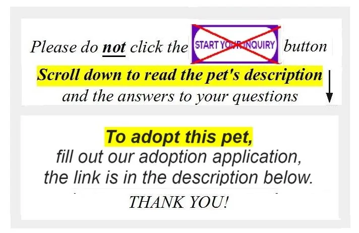 Princess Daisy thumbnail 5