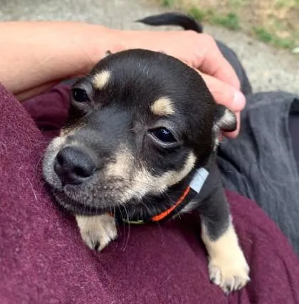 Buster