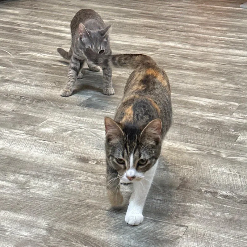 Sally @ Fat Cat thumbnail 3