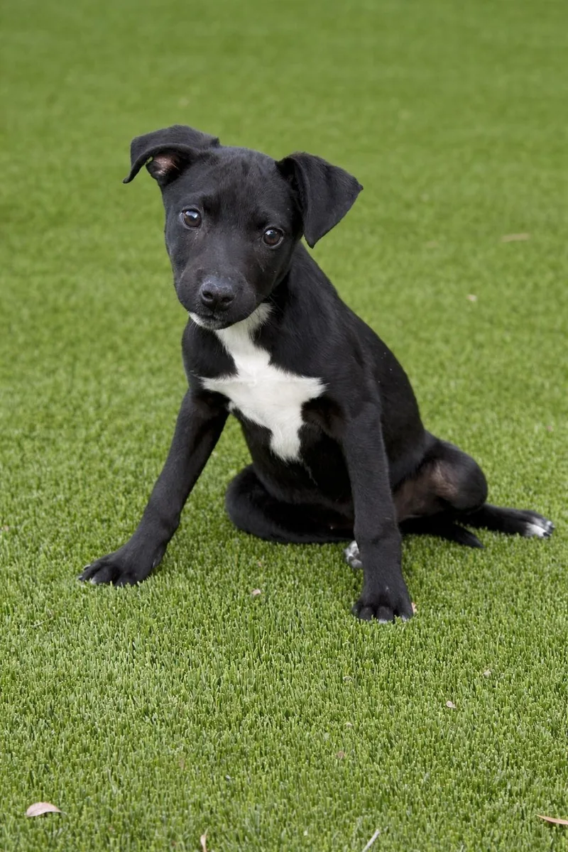 Little Debbie  Rub thumbnail 2