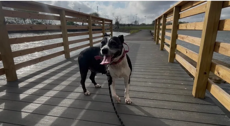 Tracy Tootsie Roll thumbnail 4