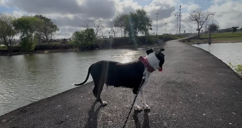 Tracy Tootsie Roll thumbnail 5