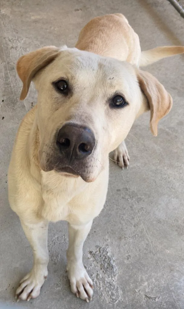 Beanstalk thumbnail 2