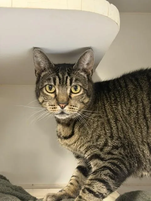 Tom