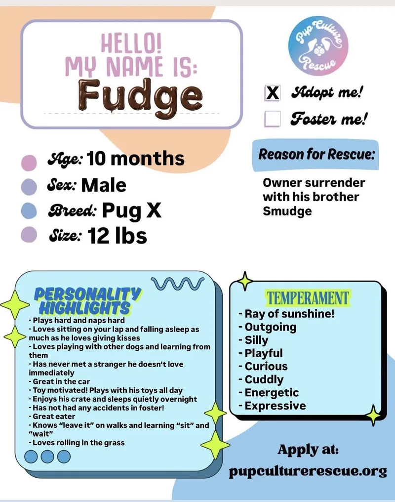 Fudge thumbnail 2