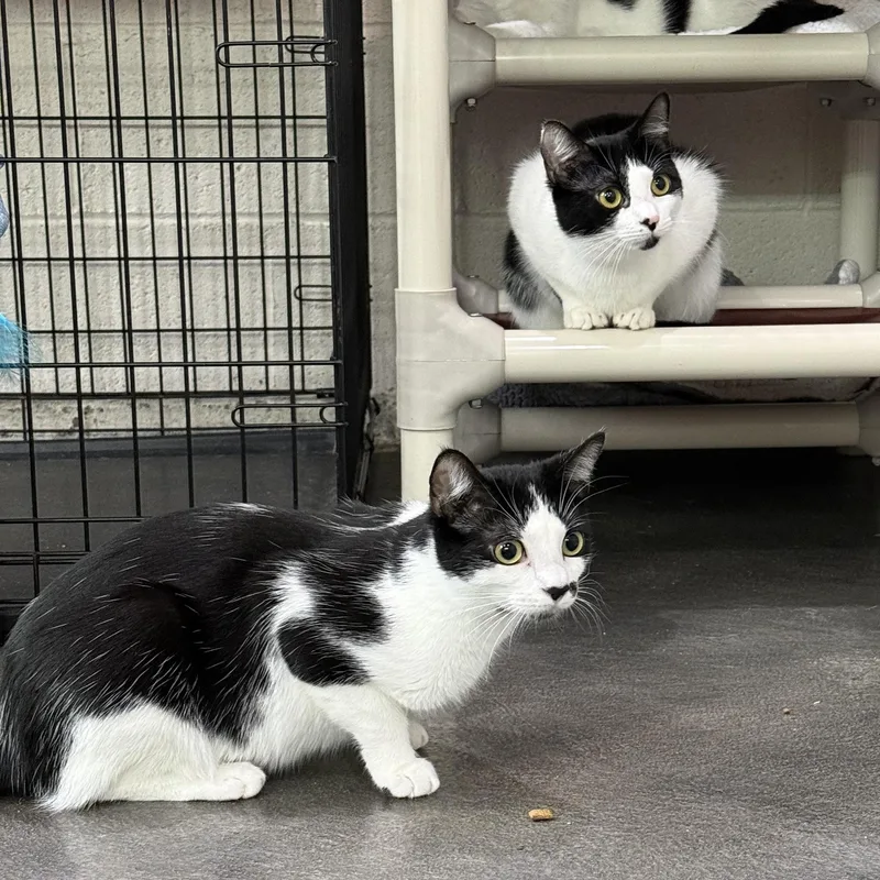 Sophie & Kate thumbnail 2