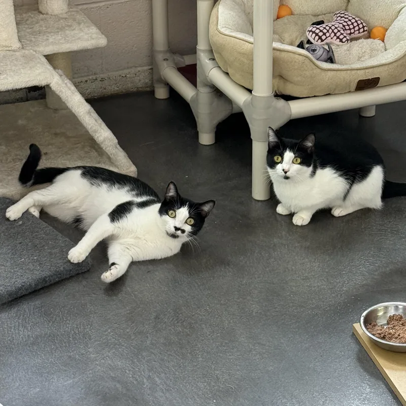 Sophie & Kate thumbnail 3