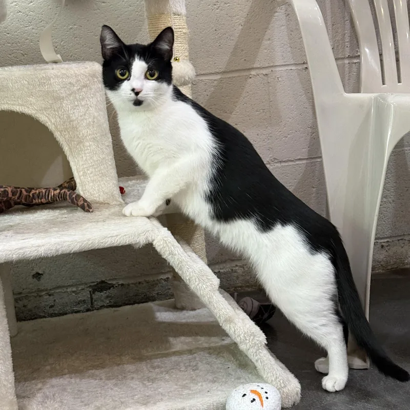 Sophie & Kate thumbnail 4