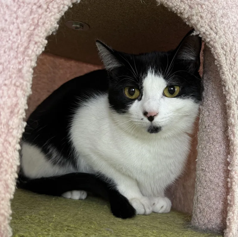 Sophie & Kate thumbnail 5