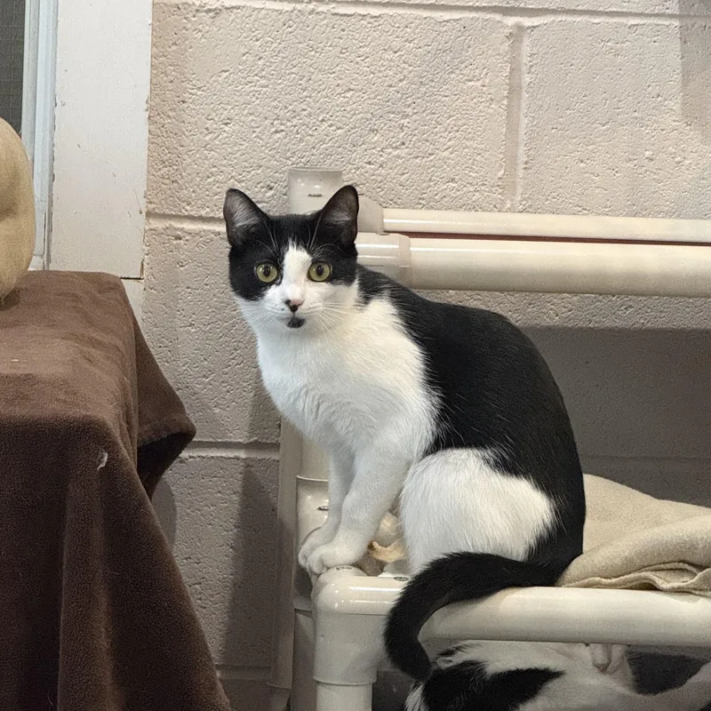 Sophie & Kate thumbnail 6