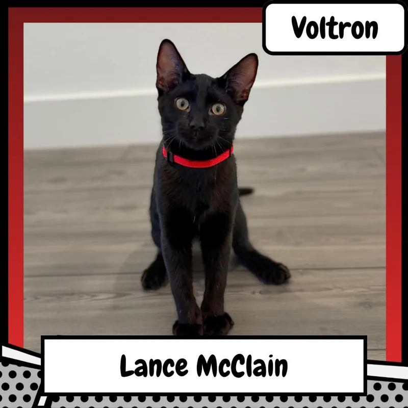 Lance McClain thumbnail 2
