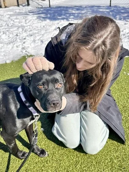 Cloak Of The Bat thumbnail 3