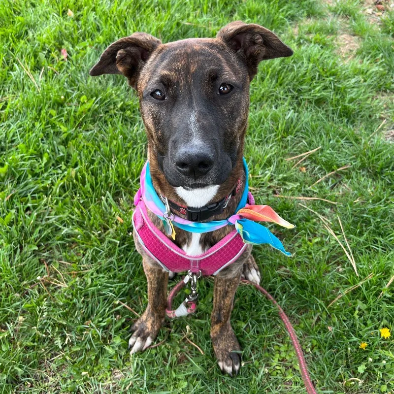 Midnight thumbnail 3